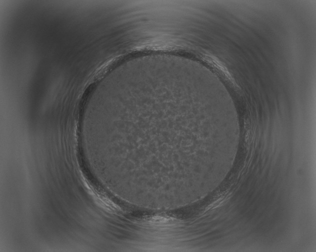 X0000084050542200702232354