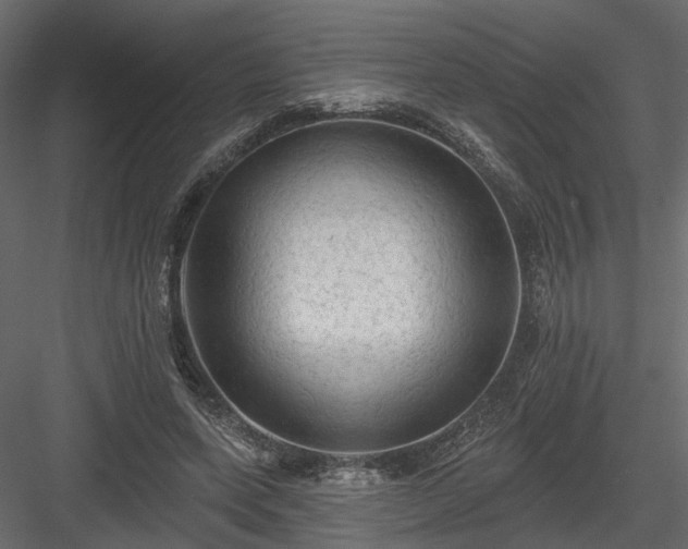 X0000084050543200702232354