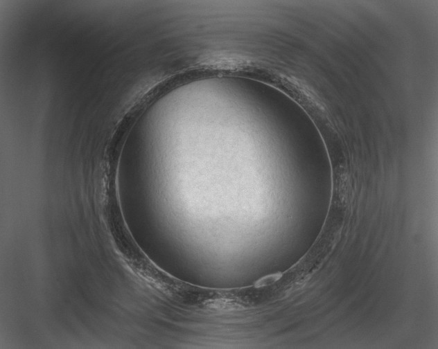 X0000084050544200702232354