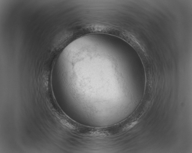 X0000084050545200702232354