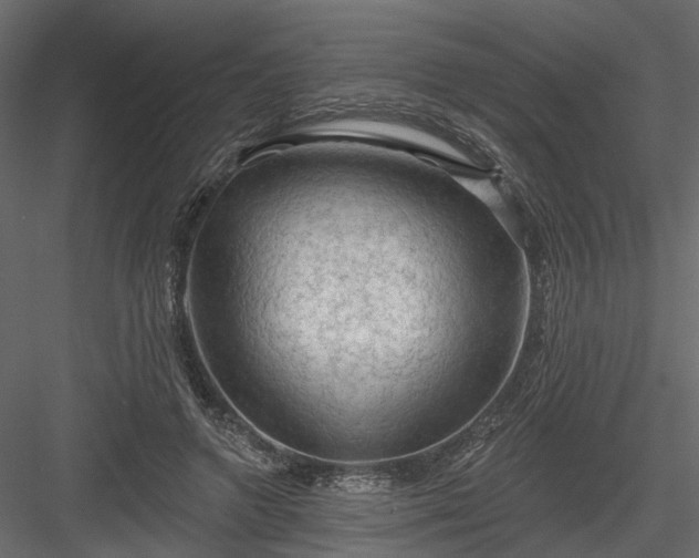 X0000084050546200702232354