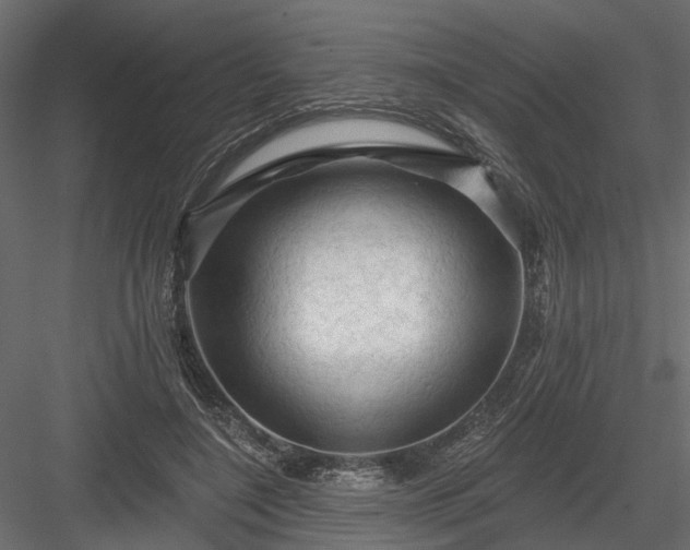 X0000084050548200702232354