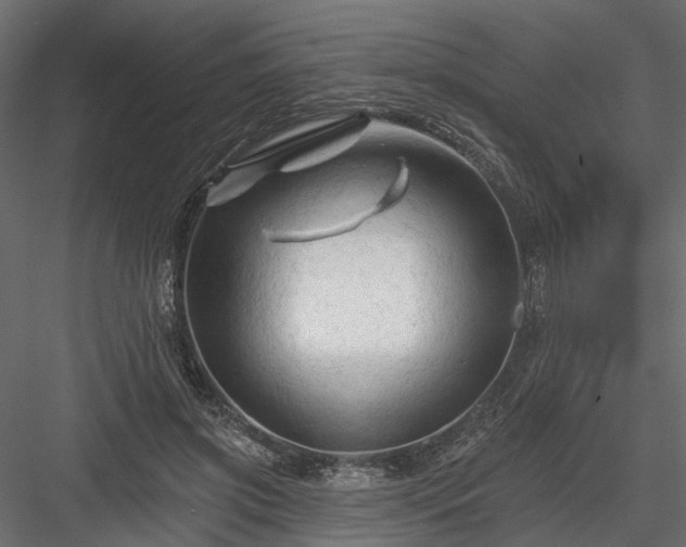 X0000084050549200702232354