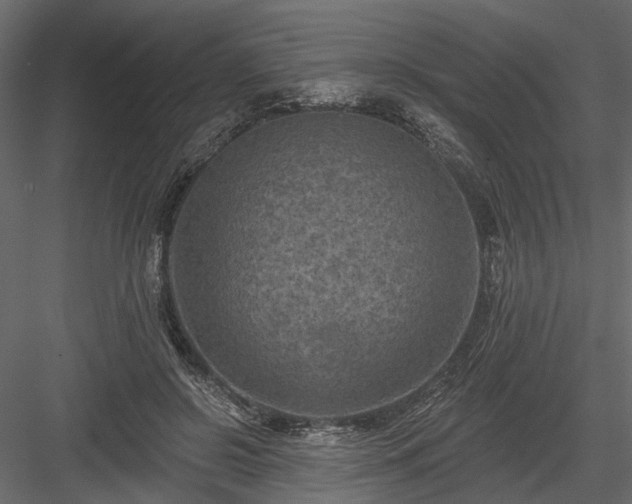 X0000084050550200702232354