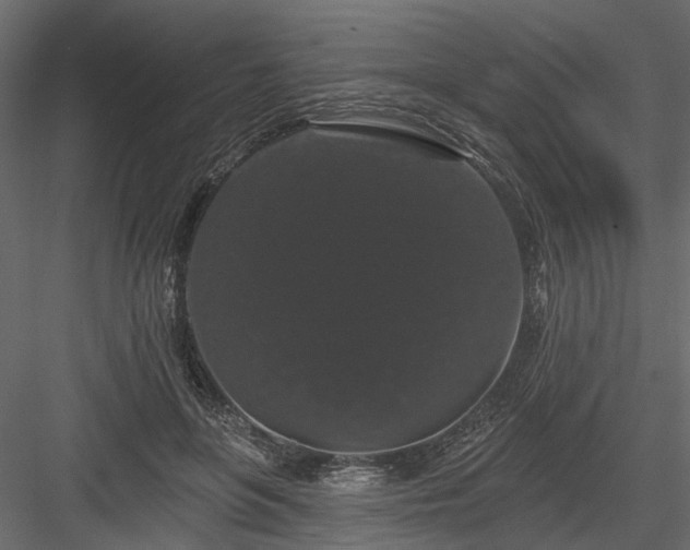 X0000084050551200702232354