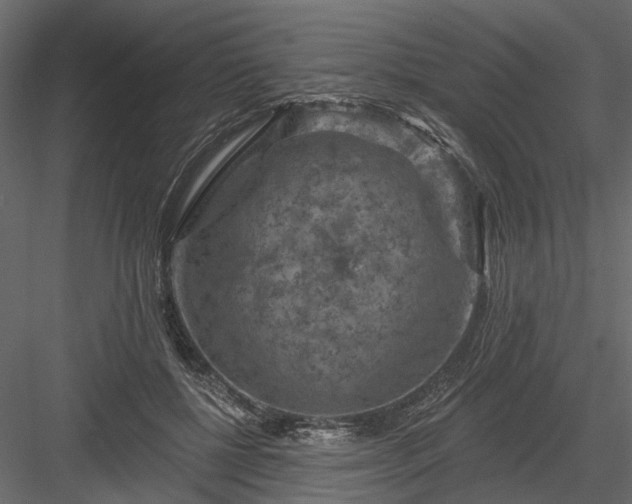 X0000084050552200702232354