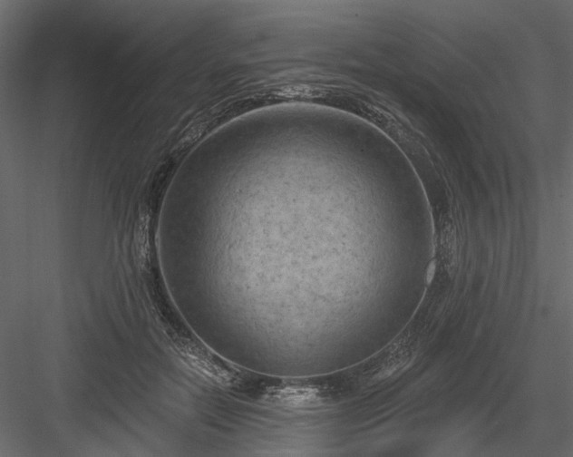 X0000084050554200702232354