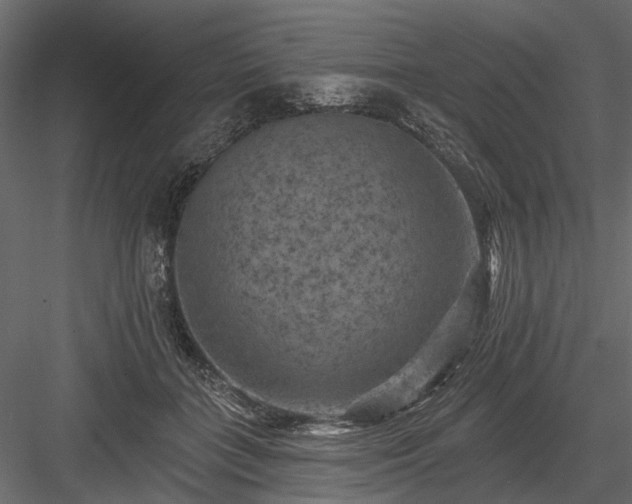 X0000084050555200702232354