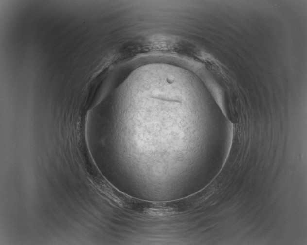 X0000084050556200702232354