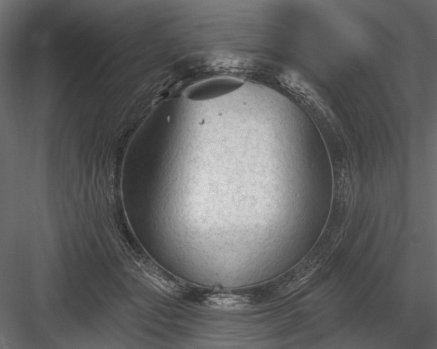 X0000084050557200702232354