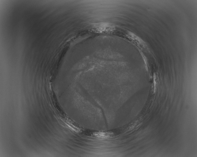 X0000084050558200702232354