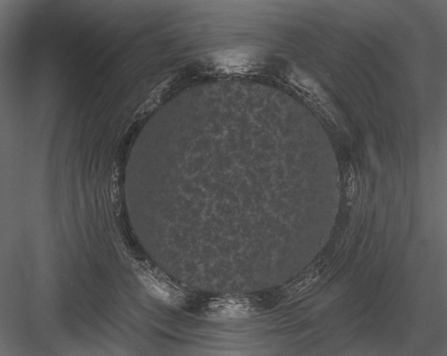 X0000084050559200702232354