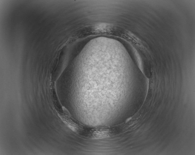 X0000084050560200702232354