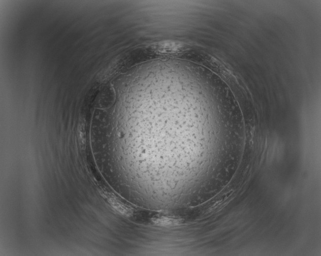 X0000084050561200702232354