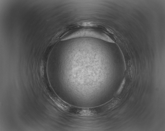 X0000084050562200702232354