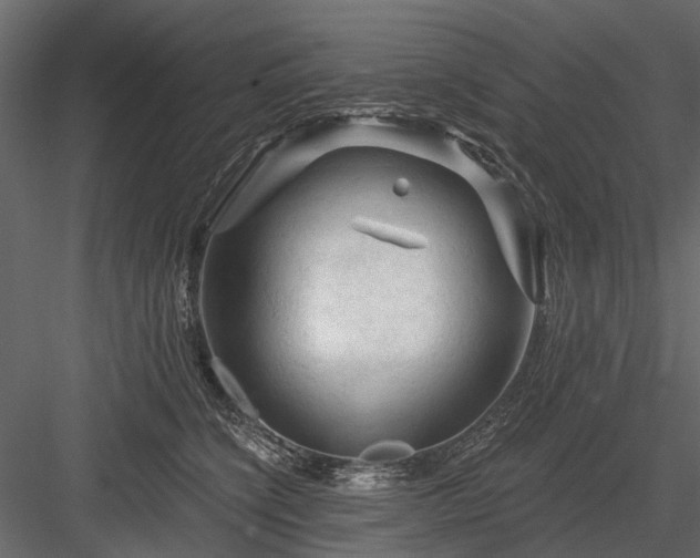 X0000084050564200702232354