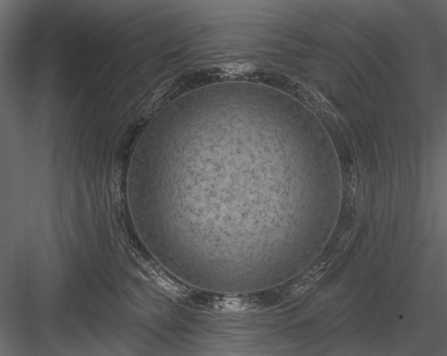 X0000084050565200702232354