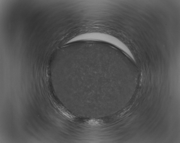 X0000084050566200702232354