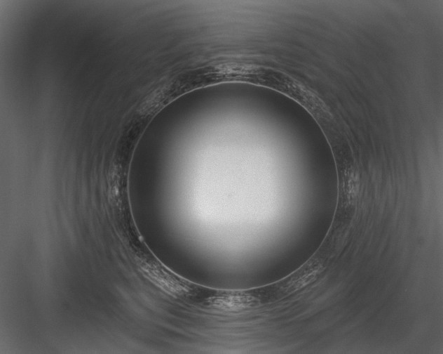 X0000084050567200702232354