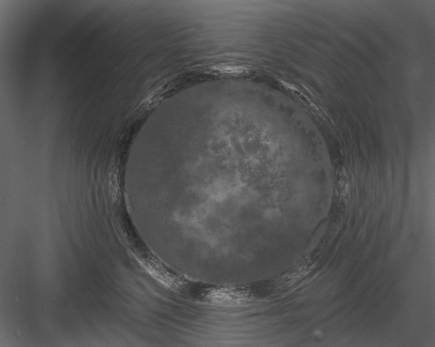 X0000084050568200702232354