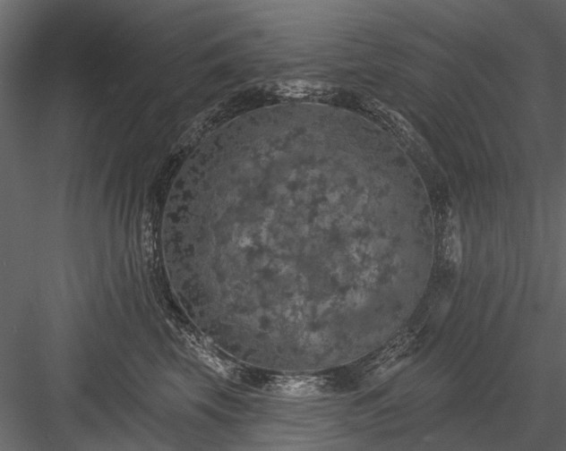 X0000084050569200702232354