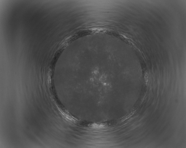 X0000084050570200702232354