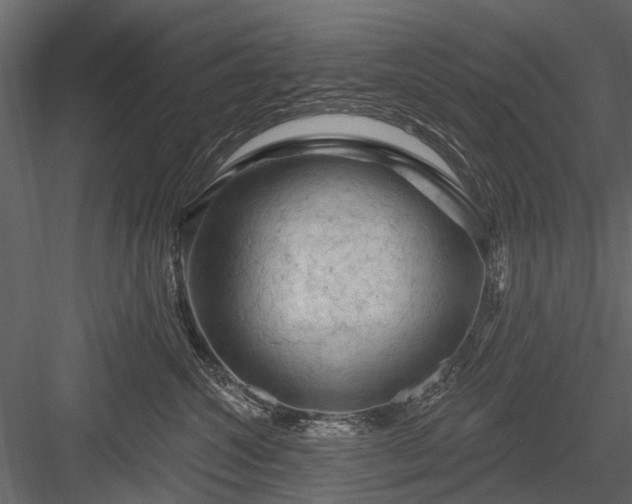 X0000084050572200702232354