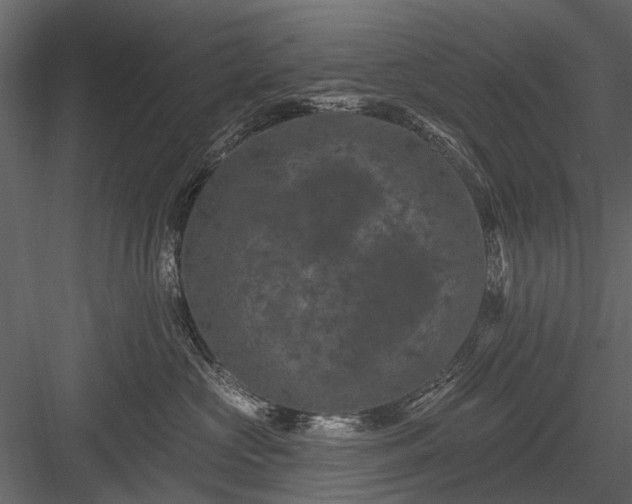 X0000084050573200702232354