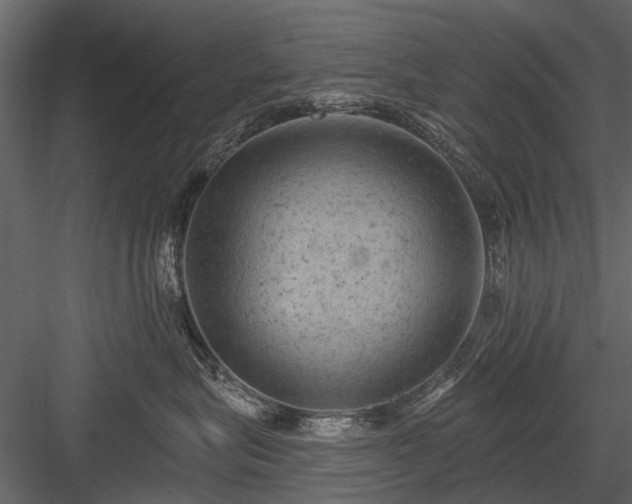 X0000084050575200702232354