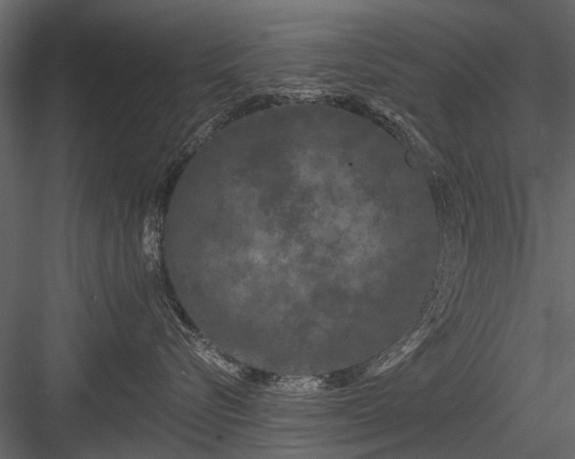 X0000084050576200702232354