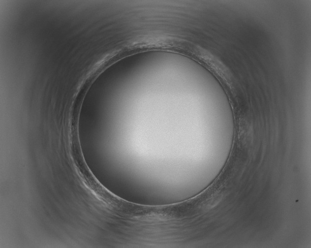 X0000084050578200702232354