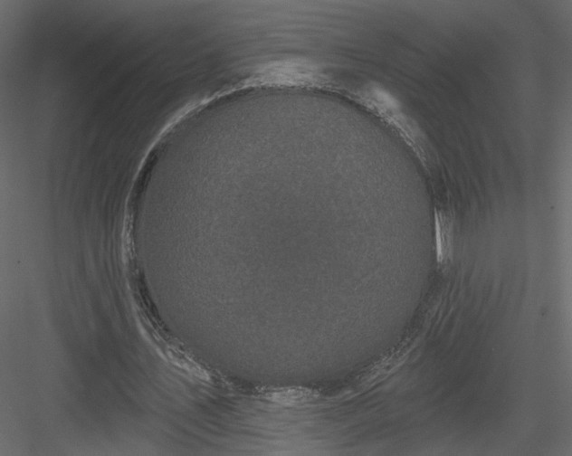 X0000084050579200702232354