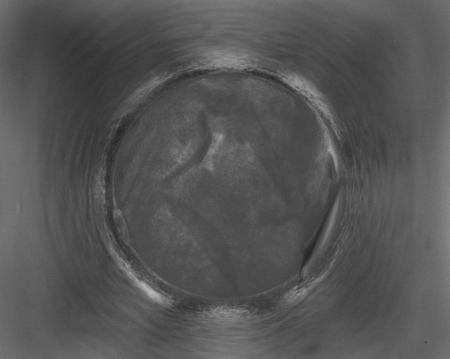 X0000084050581200702232354