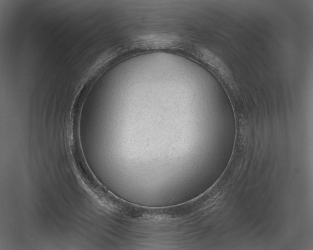 X0000084050582200702232354