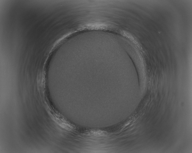 X0000084050583200702232354