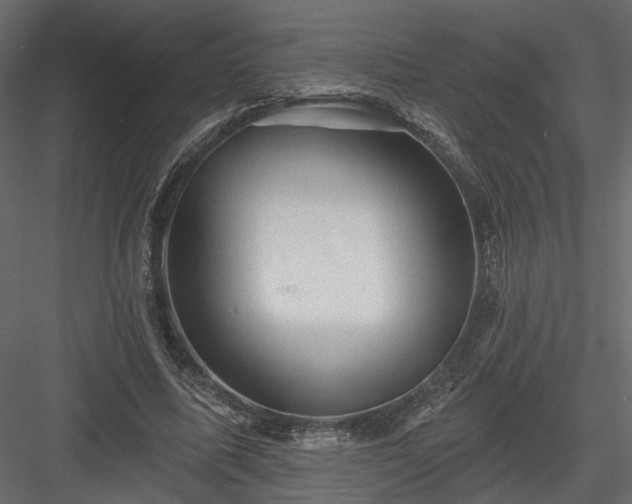 X0000084050587200702232353