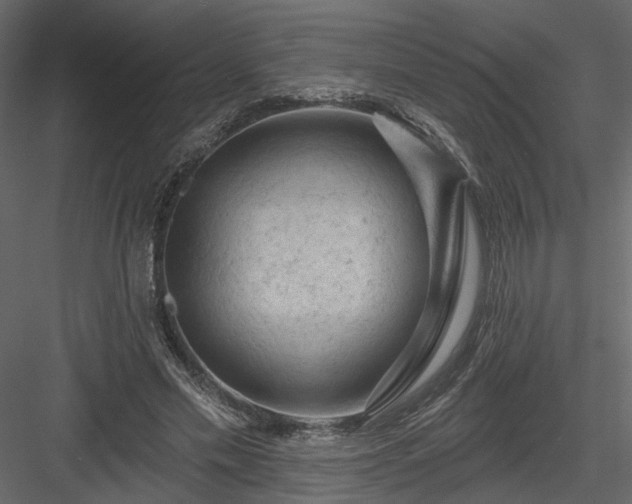 X0000084050589200702232353