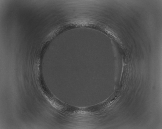 X0000084050590200702232353