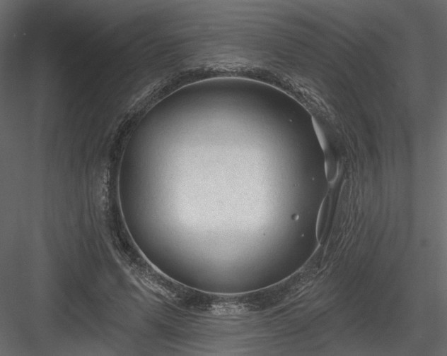 X0000084050591200702232353