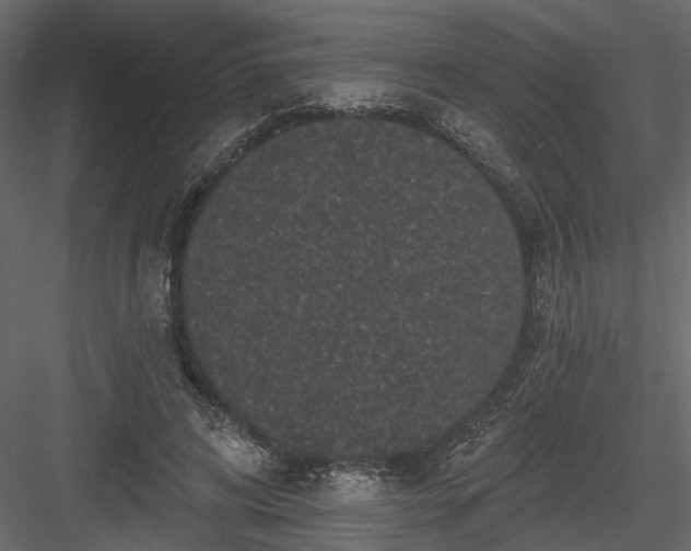 X0000084050592200702232353