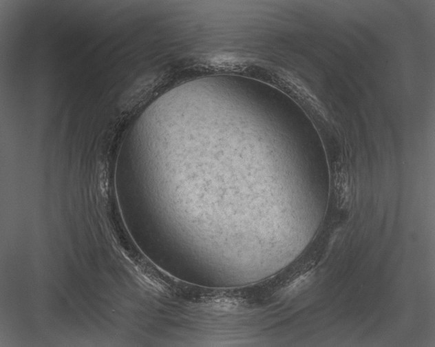 X0000084050593200702232353