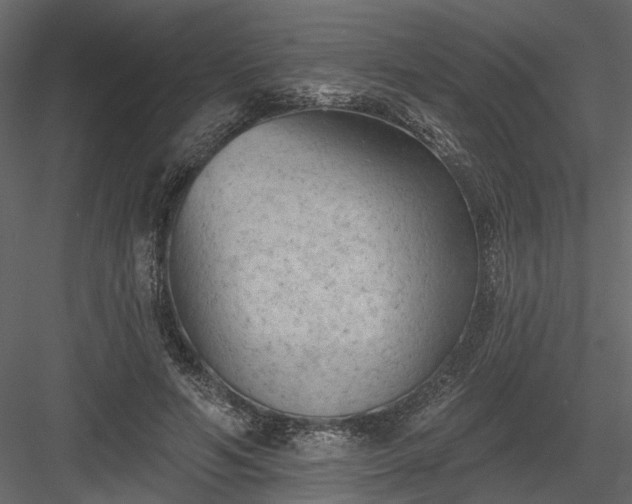 X0000084050594200702232353