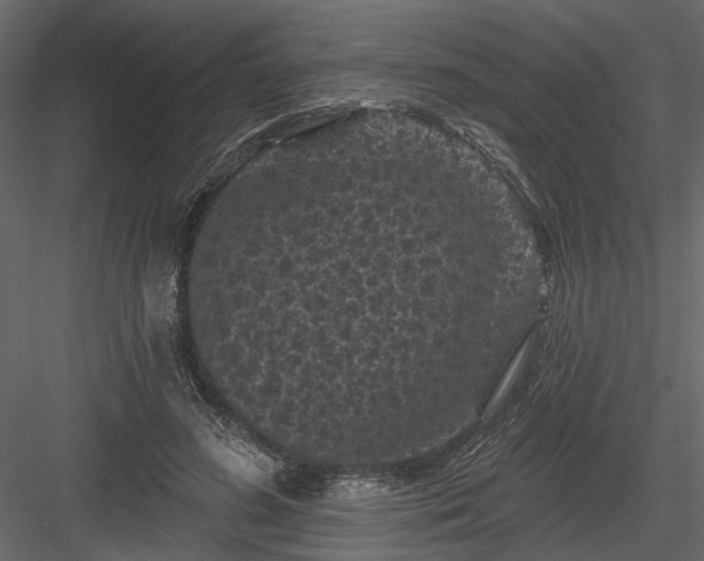 X0000084050596200702232353