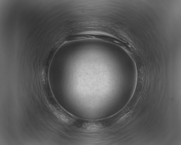 X0000084050597200702232353