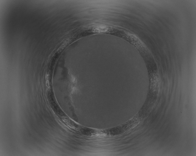 X0000084050598200702232353