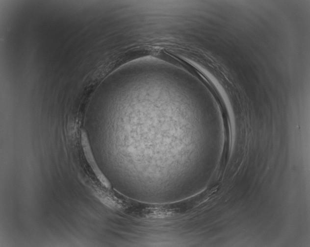 X0000084050601200702232353