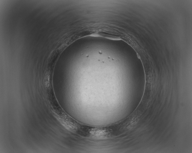 X0000084050602200702232353