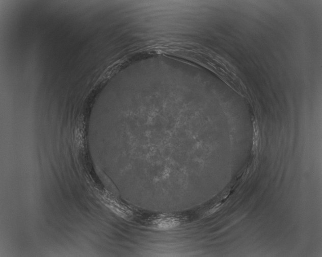 X0000084050604200702232353