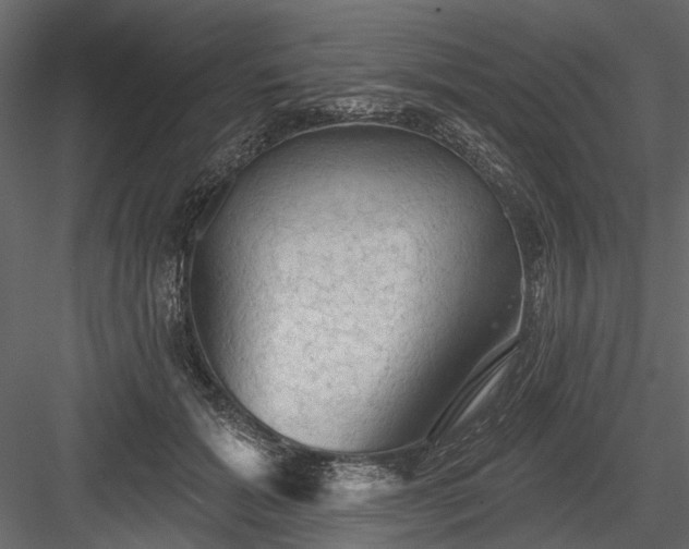 X0000084050605200702232353