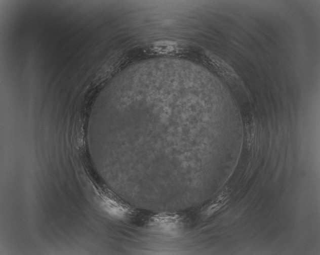 X0000084050606200702232353